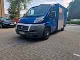 Fiat ducato Kasten Koffer DPF  Fährt Einwa... - Fiat Ducato aus 2006