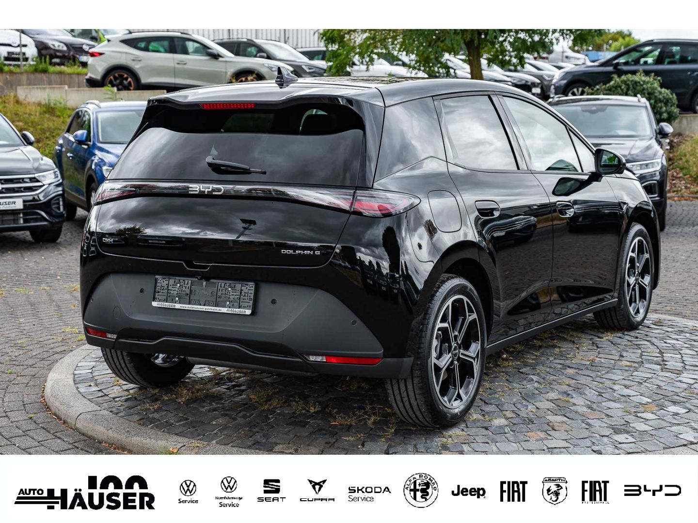 BYD DOLPHIN