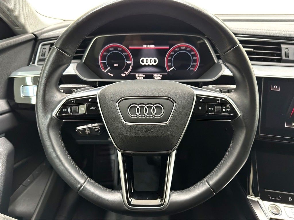 Audi e-tron - Bild 13