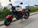 Yamaha XSR125  (NEUES MODELL)  - YAMAHA XSR125
