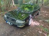 Audi V8 Quattro Oldtimer 3.6 D11 Typ44 200 - Audi V8: 4.2