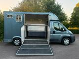 Peugeot Boxer EquiTrek Pferdetransporter 2011 Horsetruck - Peugeot Boxer mit Diesel-Antrieb: 2.2