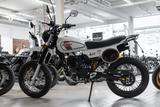 Mash X-Ride 50 Classic,sofort lieferbar,Lieferservice - NEU MOFA