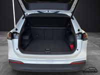 Volkswagen Tiguan - Vorschau Bild 6