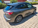 Ford Kuga 2.0 EcoBlue 140kW ST-Line X Auto 4WD ST... - Ford: Firmenfahrzeug