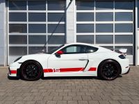 Porsche Cayman GT4 *Sports Cup Edition* 1.HD APPROVED-28 bei Autohaus Landmann & Maier OHG