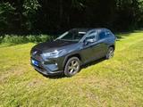Toyota RAV 4 2.5 Hybrid Lounge Auto AWD Lounge - Toyota RAV 4: Leder, Allradantrieb