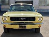 Ford Mustang  Limosine 1966 - Ford Mustang: Limousine