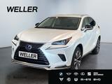 Lexus NX 300h Style Edition *Bi-LED*CAM*SHZ*CarPlay*PD - Lexus NX-Serie SUV