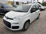 Fiat Panda Pop - gebrauchte Fiat Panda aus dem Jahr 2015