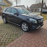 Mercedes-Benz GLE 250d 4Matic STHZ Harman-Kardon AHK. 360°kame - Mercedes-Benz GLE 250: Panoramadach