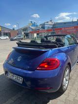 Volkswagen Beetle 1.4 TSI DSG 50's Cabriolet 50's - Volkswagen Beetle: Cabrio
