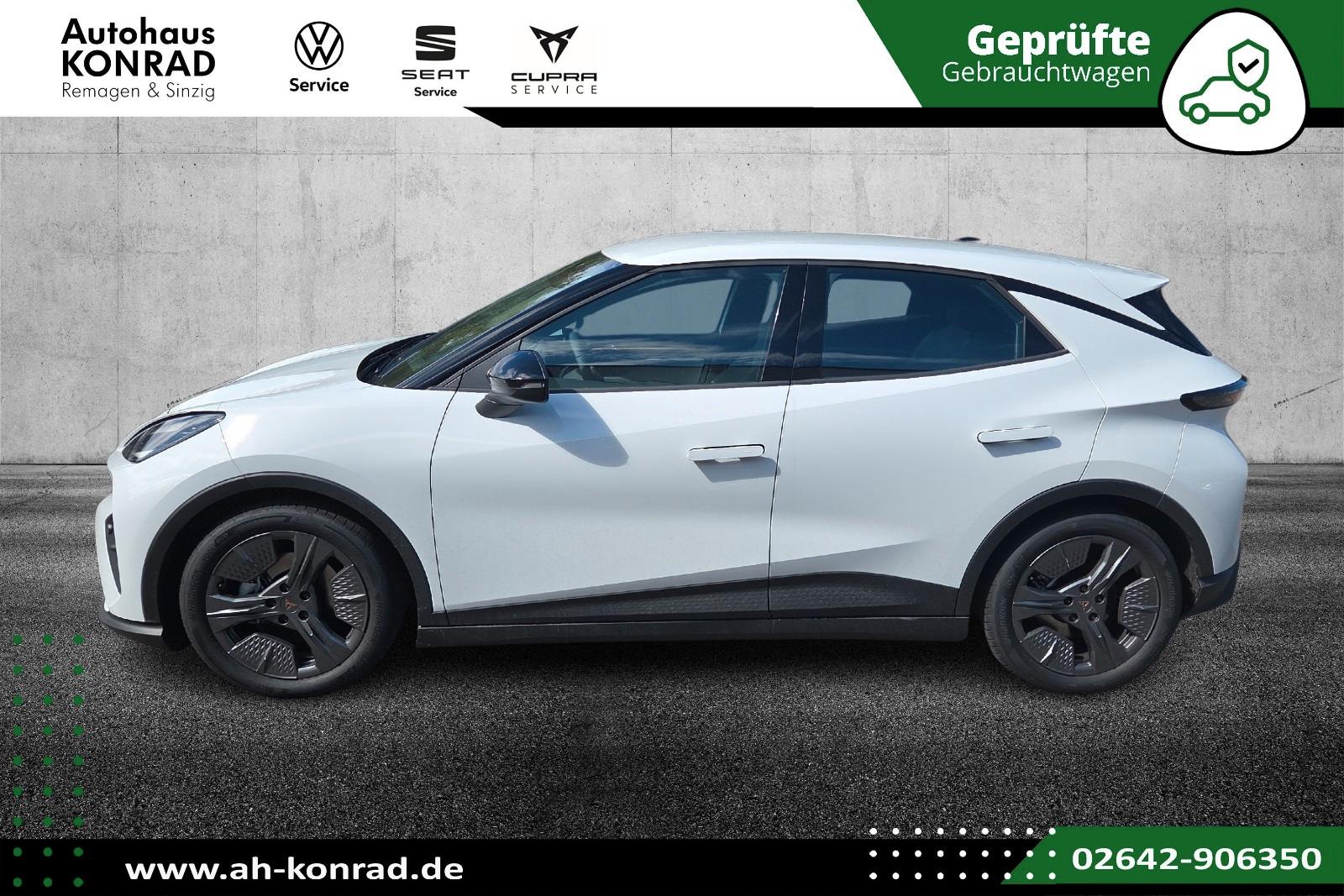 Cupra Raval Endurance Edge-Paket Dinamica-Paket