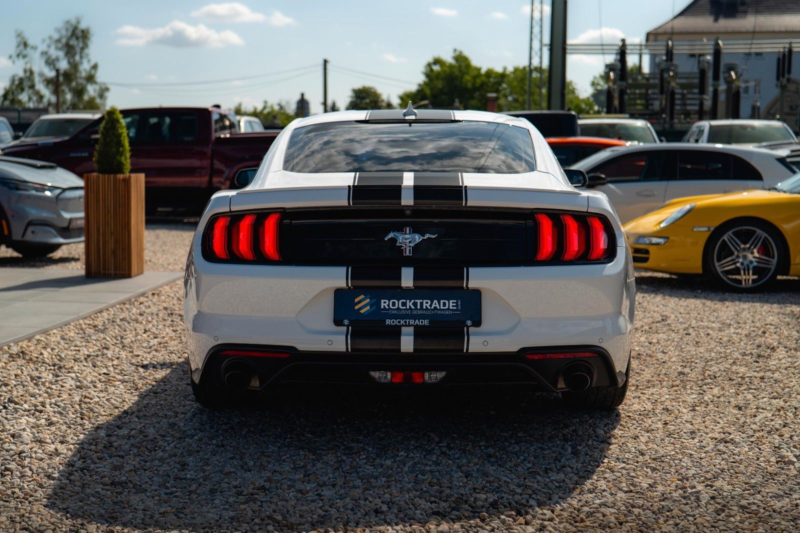Fahrzeugabbildung Ford Mustang Shelby GT 500 Coupe Performance PREMIUM