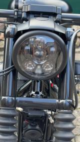 Harley-Davidson Iron XL  883 - Angebote entsprechen deinen Suchkriterien