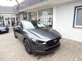 Mazda CX-30 2.5L e-SKYACTIV G 140ps 6AT FWD Nagisa - Mazda CX-30 Nagisa mit Hybrid-Antrieb (Benzin/Elektro)
