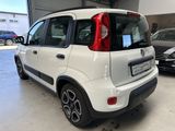 Fiat Panda Hybrid City Life CarPlay Klima PDC DAB - Fiat Panda aus 2021