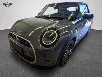 MINI Favoured Trim