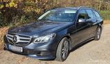 Mercedes-Benz E 300 BlueTEC HYBRID T AVANTGARDE AVANTGARDE - gebrauchte Mercedes-Benz E 300 aus dem Jahr 2014
