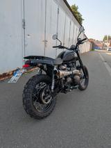 Triumph Scrambler 900 Umbau SK Bikes - TRIUMPH 900 SCRAMBLER