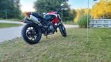 Ducati Monster 796 ABS - Ducati Motorräder in Nürnberg