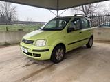 Fiat FIAT Panda 1.2 OK NEOPATENTATI PRONTA CONSEGNA - gebrauchte Fiat Panda aus dem Jahr 2006