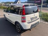 Fiat Panda 1.4 16V 100HP Abarth/Klima/Sportauspuff - Fiat Panda: 1.4
