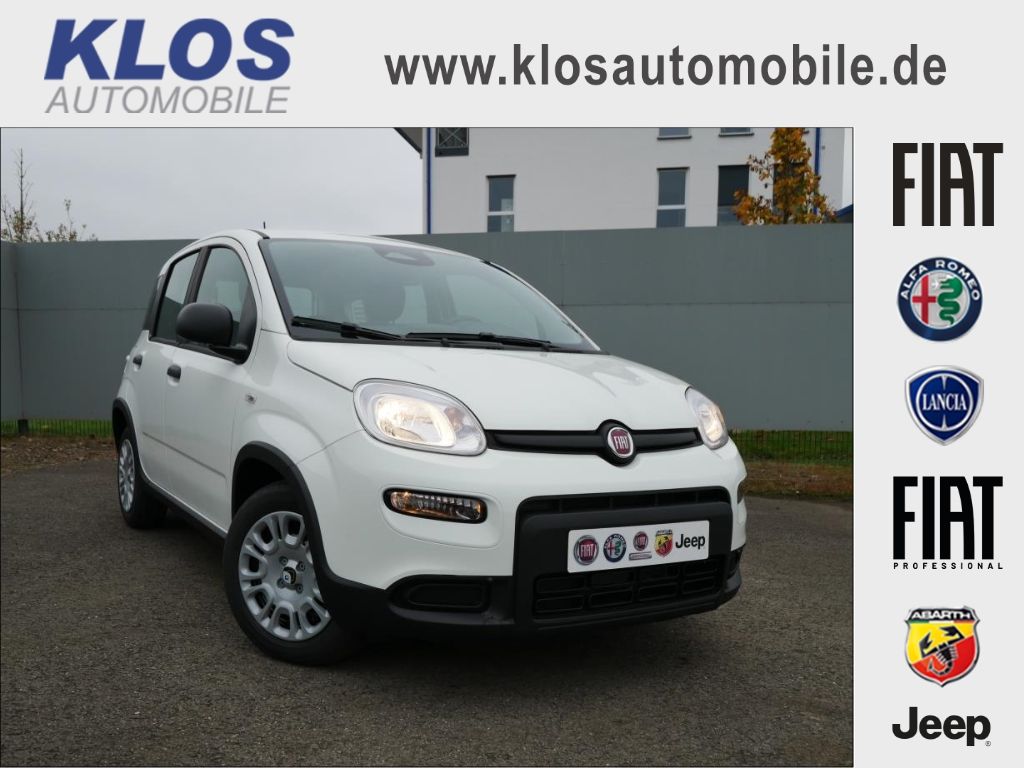 Image of Fiat Panda