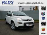 Fiat Panda HYBRID 1.0 GSE 70PS PDC CITY PAKET RADIO - gebrauchte Fiat Panda aus dem Jahr 2024