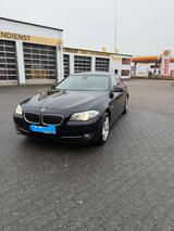 BMW 525d xDrive Touring - - BMW 525: Braun
