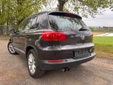 Volkswagen Tiguan Lounge EURO 6 TOP KUPPLUNG NEU - Volkswagen Tiguan: Pickup