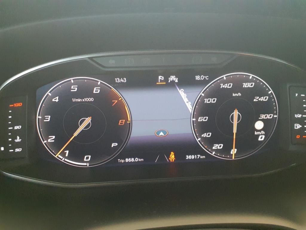 Cupra Ateca Limited Edition 2.0 TSI Pano*Tempo*PDC*RFK