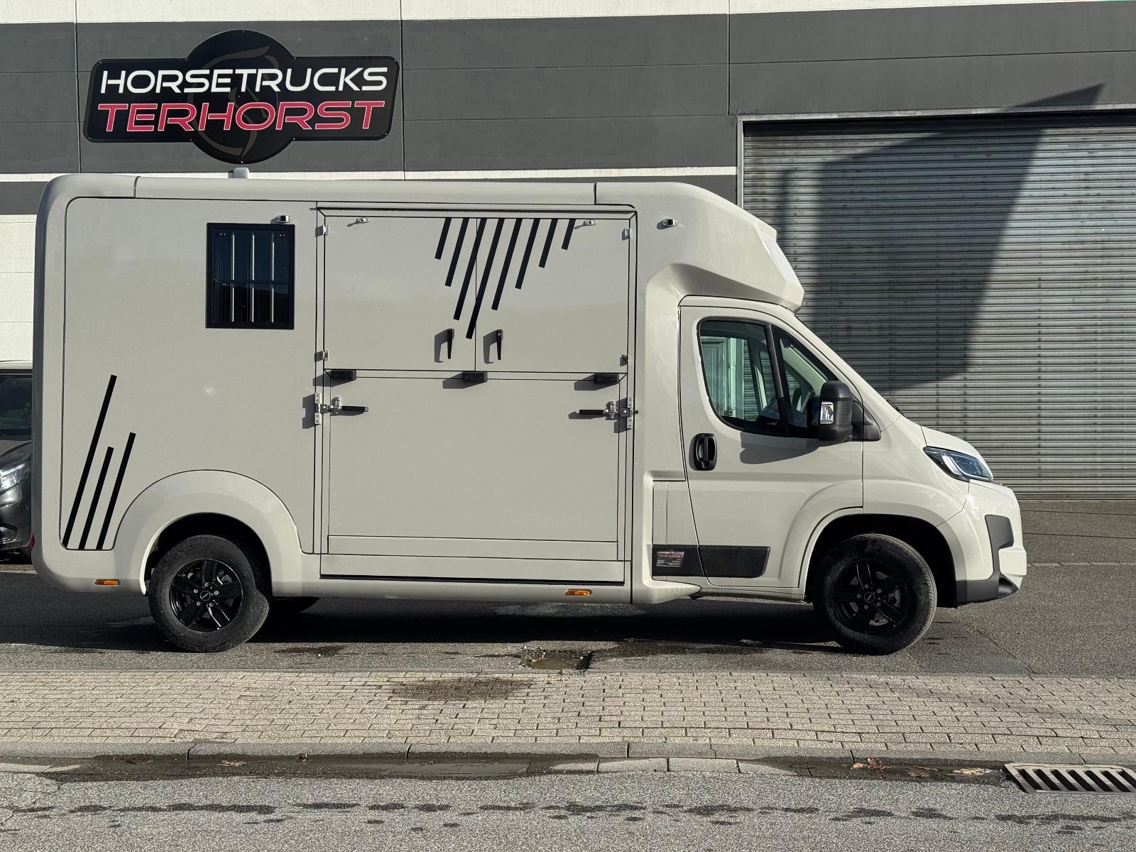 Opel Movano AUTOM. AKX 3- Haras Pferdetransporter