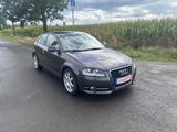 Audi A3 1.6 TDI Attraction - Audi A3 aus 2010 mit Diesel-Antrieb