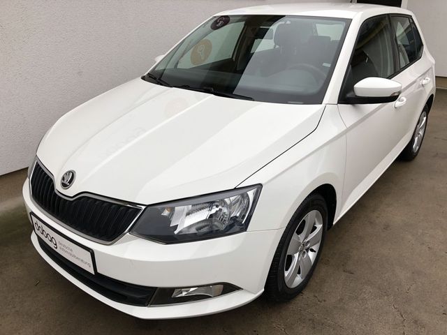 Skoda Fabia 1.0 TSI Ambition Klima SHZ PDC Allwetter