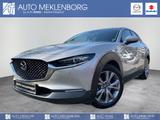 Mazda CX-30 2.0l "Selection" "DES-P" "PRE-P" "BOSE" M- - mit Hybrid-Antrieb: Beige, Head-Up Display