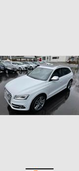 Audi SQ5 3.0 TDI tiptronic quattro - - Audi SQ5 in Bremen