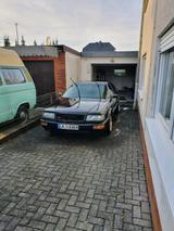 Audi V8 D11 3.6 Handschalter H Kennzeichen - Audi V8 Gebrauchtwagen