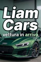 Toyota Auris 5 Porte Auris 5p 2.0 d-4d Sol dpf - Toyota Auris Sol mit Diesel-Antrieb