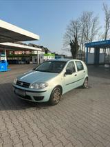 Fiat Punto 2003 - TÜV bis 2027 - Perfektes... - Fiat Punto in Bochum