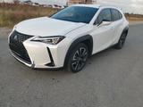 Lexus UX 250h Style Edition  - Lexus UX von privat