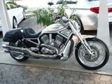 Harley-Davidson VROD VRSCDX Night Rod Special*Jubi.-Mod.*8TKM* - Angebote