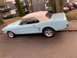 Ford Mustang Cabrio 289cui (1966) mit H - gebrauchte Ford Mustang aus dem Jahr 1966