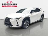 Lexus UX 200H LED ACC LM18 - Lexus Gebrauchtwagen von 2020