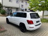 Mercedes-Benz CLK 350 12 Fach bereift Abverkauf Gewerbe - Mercedes-Benz CLK 350