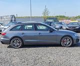 Audi A4 3.0 TDI -QUATTRO-EDITION ONE-MATRIX-LED-SLINE - Audi A4: Sline
