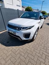 Land Rover Range Rover Evoque Cabriolet 2.0 TD4 SE Dyna... - Land Rover Range Rover Evoque: Cabrio