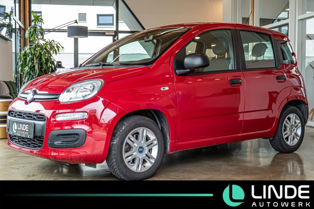 Panda Pop|KLIMA|RADIO|EL.FENSTER|ISOFIX|14"-ALU