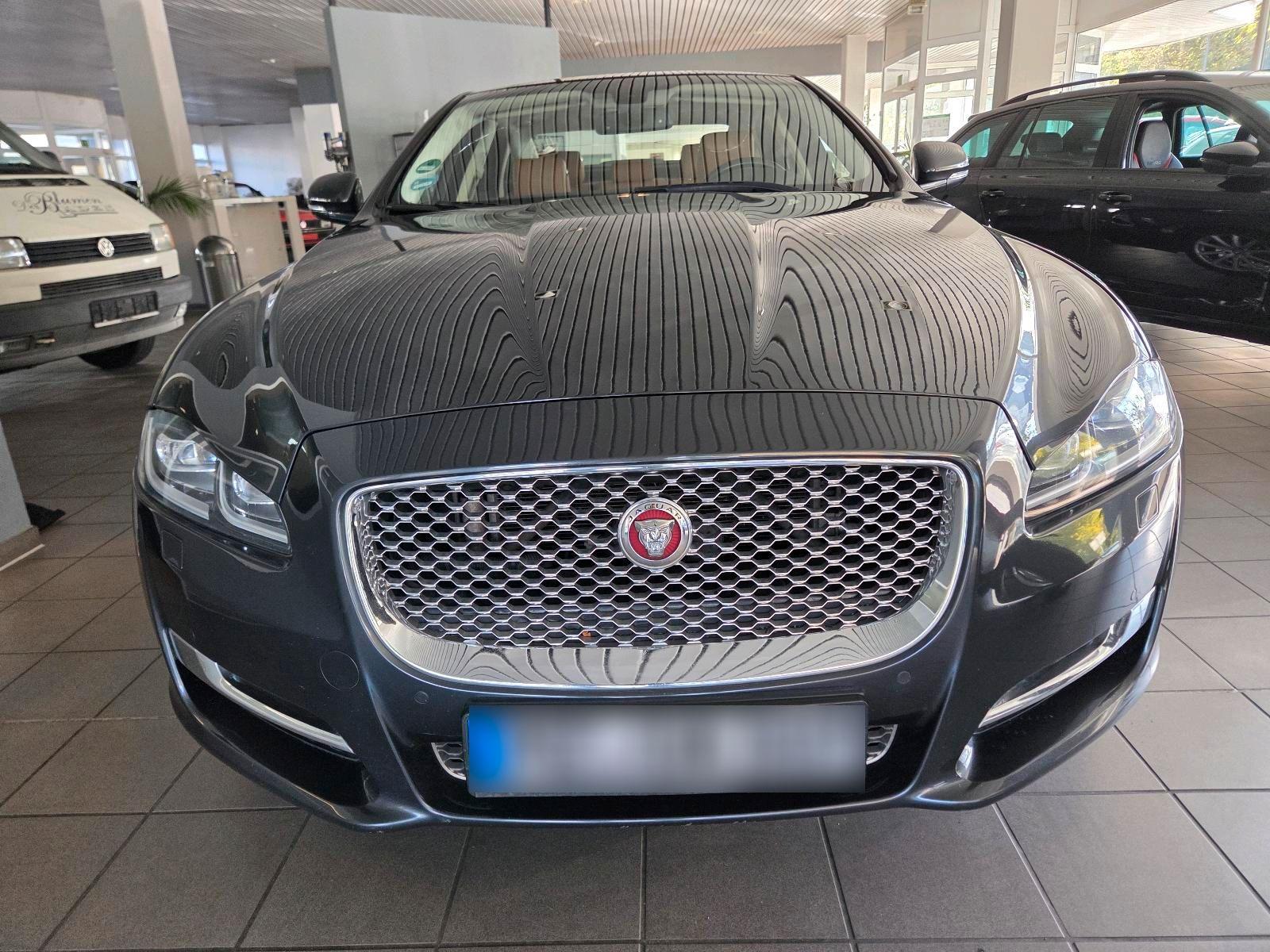 Jaguar XJ