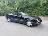 Mercedes-Benz Mercedes Benz CLK 200 Elegance Cabrio Lede... - Mercedes-Benz CLK 200 in München